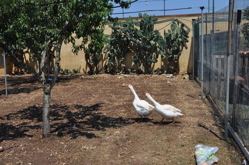Bed & Breakfast Giardini Di Marzo Lecce Kültér fotó